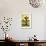 Pear Tree 1-Leah Saulnier-Framed Giclee Print displayed on a wall