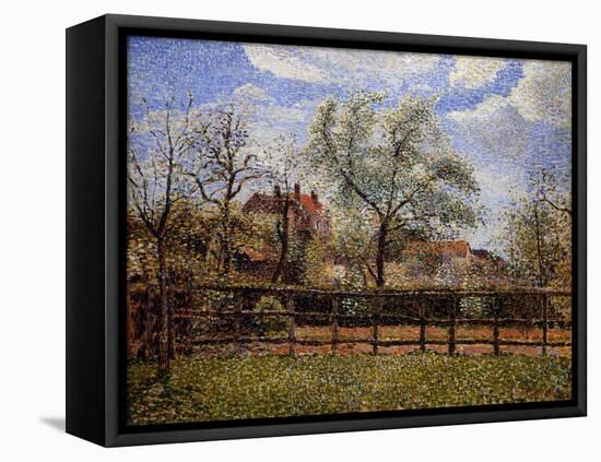 Pear Tree and Flowers in Eragny, Morning-Camille Pissarro-Framed Premier Image Canvas