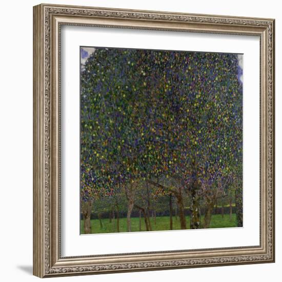 Pear Tree-Gustav Klimt-Framed Giclee Print