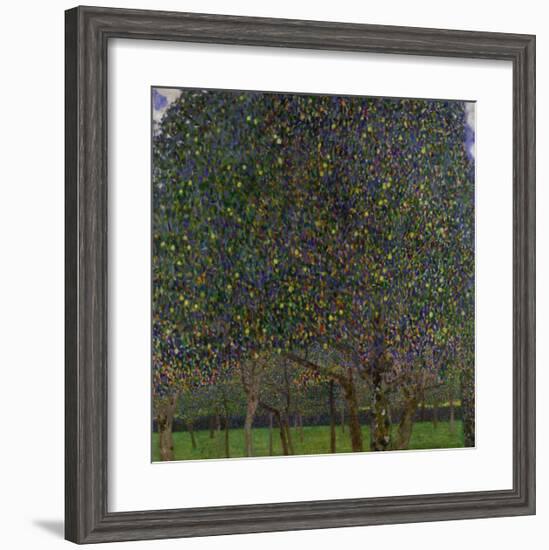 Pear Tree-Gustav Klimt-Framed Giclee Print