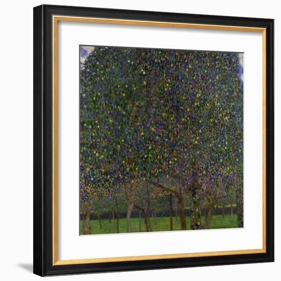 Pear Tree-Gustav Klimt-Framed Giclee Print