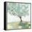 Pear tree-Allison Pearce-Framed Stretched Canvas