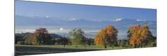 Premium Photographic Print