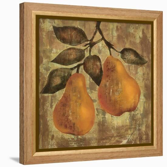 Pear-Silvia Vassileva-Framed Stretched Canvas