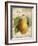 Pear-Kate Ward Thacker-Framed Giclee Print