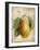 Pear-Kate Ward Thacker-Framed Giclee Print