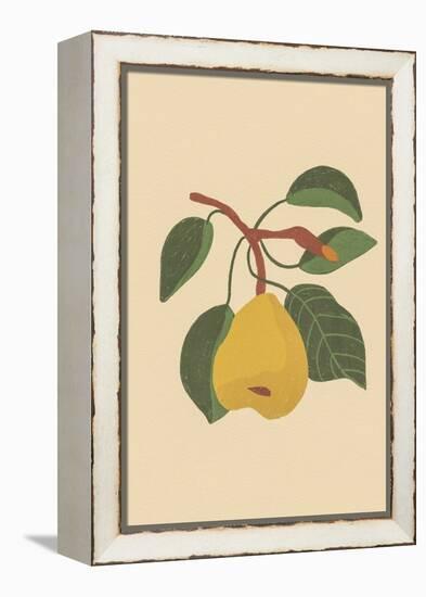 Pear-Gigi Rosado-Framed Premier Image Canvas