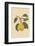 Pear-Gigi Rosado-Framed Photographic Print