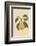 Pear-Gigi Rosado-Framed Photographic Print