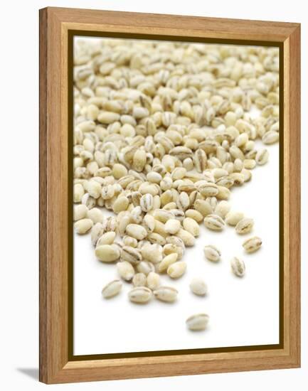 Pearl Barley-Jon Stokes-Framed Premier Image Canvas