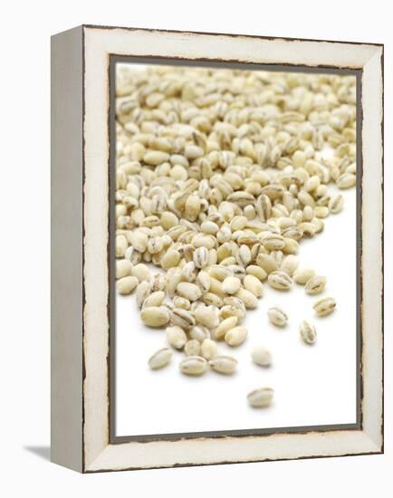 Pearl Barley-Jon Stokes-Framed Premier Image Canvas
