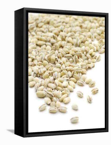 Pearl Barley-Jon Stokes-Framed Premier Image Canvas