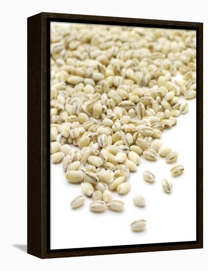 Pearl Barley-Jon Stokes-Framed Premier Image Canvas