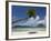 Pearl Beach Resort, Bora-Bora, Leeward Group, Society Islands, French Polynesia-Sergio Pitamitz-Framed Photographic Print