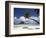 Pearl Beach Resort, Bora-Bora, Leeward Group, Society Islands, French Polynesia-Sergio Pitamitz-Framed Photographic Print