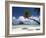 Pearl Beach Resort, Bora-Bora, Leeward Group, Society Islands, French Polynesia-Sergio Pitamitz-Framed Photographic Print