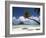 Pearl Beach Resort, Bora-Bora, Leeward Group, Society Islands, French Polynesia-Sergio Pitamitz-Framed Photographic Print