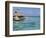 Pearl Beach Resort, Tikehau, Tuamotu Archipelago, French Polynesia Islands-Sergio Pitamitz-Framed Photographic Print