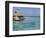 Pearl Beach Resort, Tikehau, Tuamotu Archipelago, French Polynesia Islands-Sergio Pitamitz-Framed Photographic Print