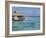 Pearl Beach Resort, Tikehau, Tuamotu Archipelago, French Polynesia Islands-Sergio Pitamitz-Framed Photographic Print