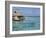 Pearl Beach Resort, Tikehau, Tuamotu Archipelago, French Polynesia Islands-Sergio Pitamitz-Framed Photographic Print