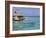 Pearl Beach Resort, Tikehau, Tuamotu Archipelago, French Polynesia Islands-Sergio Pitamitz-Framed Photographic Print