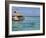 Pearl Beach Resort, Tikehau, Tuamotu Archipelago, French Polynesia Islands-Sergio Pitamitz-Framed Photographic Print