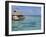 Pearl Beach Resort, Tikehau, Tuamotu Archipelago, French Polynesia Islands-Sergio Pitamitz-Framed Photographic Print