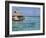 Pearl Beach Resort, Tikehau, Tuamotu Archipelago, French Polynesia Islands-Sergio Pitamitz-Framed Photographic Print