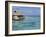 Pearl Beach Resort, Tikehau, Tuamotu Archipelago, French Polynesia Islands-Sergio Pitamitz-Framed Photographic Print