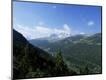 Photographic Print