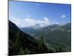 Photographic Print