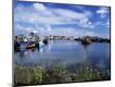 Photographic Print