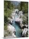 Photographic Print