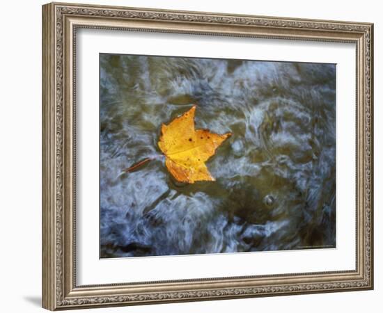 Pearl Cascade on the Avalon Trail, Northern Hardwood Forest, New Hampshire, USA-Jerry & Marcy Monkman-Framed Photographic Print