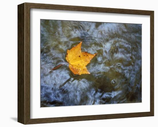 Pearl Cascade on the Avalon Trail, Northern Hardwood Forest, New Hampshire, USA-Jerry & Marcy Monkman-Framed Photographic Print