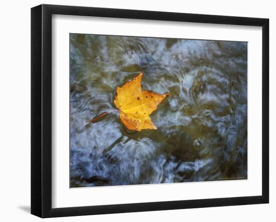 Pearl Cascade on the Avalon Trail, Northern Hardwood Forest, New Hampshire, USA-Jerry & Marcy Monkman-Framed Photographic Print