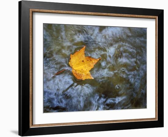 Pearl Cascade on the Avalon Trail, Northern Hardwood Forest, New Hampshire, USA-Jerry & Marcy Monkman-Framed Photographic Print