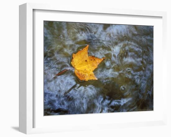 Pearl Cascade on the Avalon Trail, Northern Hardwood Forest, New Hampshire, USA-Jerry & Marcy Monkman-Framed Photographic Print