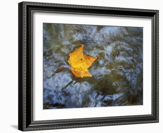 Pearl Cascade on the Avalon Trail, Northern Hardwood Forest, New Hampshire, USA-Jerry & Marcy Monkman-Framed Photographic Print