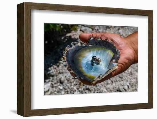 Pearl in a shell with Mother of Pearl, Gaugain Pearl Farm, Rangiroa atoll, Tuamotus-Michael Runkel-Framed Photographic Print