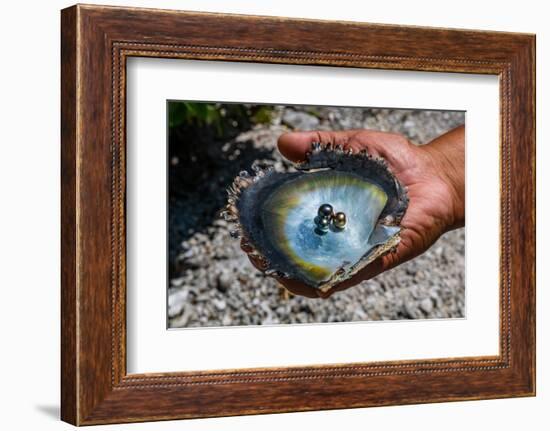 Pearl in a shell with Mother of Pearl, Gaugain Pearl Farm, Rangiroa atoll, Tuamotus-Michael Runkel-Framed Photographic Print