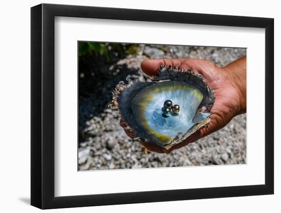 Pearl in a shell with Mother of Pearl, Gaugain Pearl Farm, Rangiroa atoll, Tuamotus-Michael Runkel-Framed Photographic Print