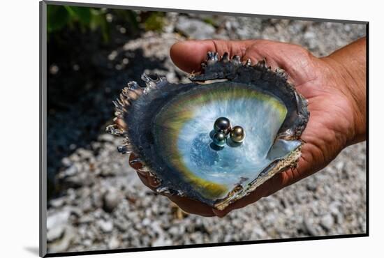 Pearl in a shell with Mother of Pearl, Gaugain Pearl Farm, Rangiroa atoll, Tuamotus-Michael Runkel-Mounted Photographic Print