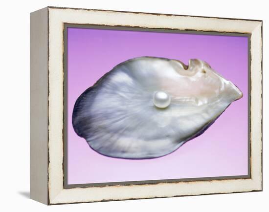 Pearl In a Shell-Lawrence Lawry-Framed Premier Image Canvas