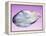 Pearl In a Shell-Lawrence Lawry-Framed Premier Image Canvas