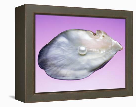 Pearl In a Shell-Lawrence Lawry-Framed Premier Image Canvas