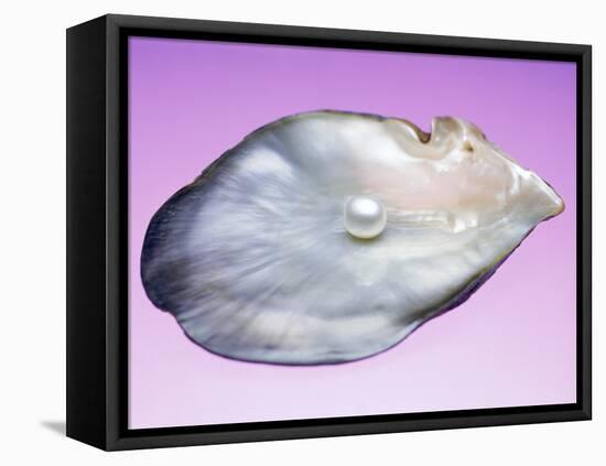 Pearl In a Shell-Lawrence Lawry-Framed Premier Image Canvas