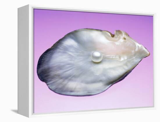 Pearl In a Shell-Lawrence Lawry-Framed Premier Image Canvas