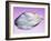 Pearl In a Shell-Lawrence Lawry-Framed Photographic Print